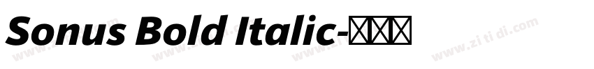 Sonus Bold Italic字体转换